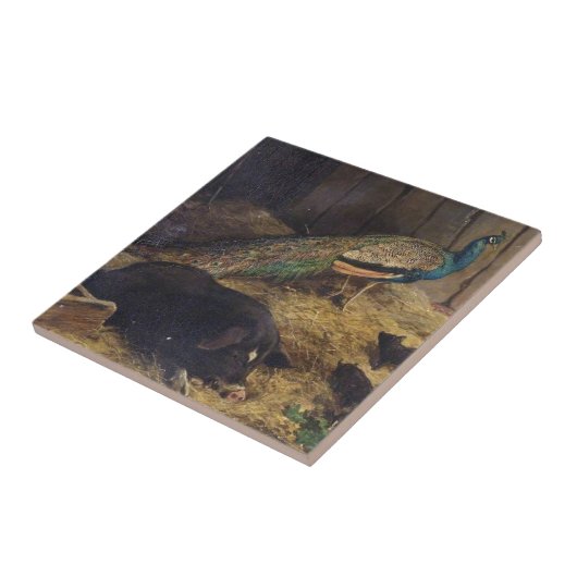 Schweine und Pfau durch Friseur Charless Burton im Fliese (Seite)