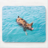 Schweine von Exuma Mousepad (Vorne)