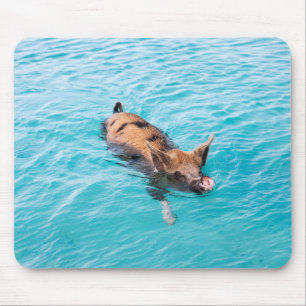 Schweine von Exuma Mousepad
