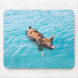 Schweine von Exuma Mousepad