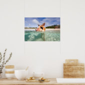 Schweine von Exuma Poster (Küche)