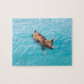 Schweine von Exuma Puzzle (Horizontal)