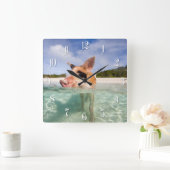 Schweine von Exuma Quadratische Wanduhr (Zuhause)