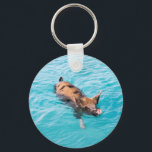 Schweine von Exuma Schlüsselanhänger<br><div class="desc">Schweine schwimmen in einem Wasser nahe der Insel Exuma Bahamas</div>