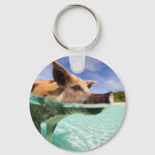 Schweine von Exuma Schlüsselanhänger
