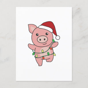 Schweine Weihnachten Winter Tiere Schweine