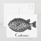 Schweineblasche Thunder_Cove Postkarte (Vorne/Hinten)