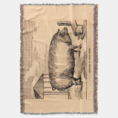 Schweinebruck aus dem 19. Jahrhundert "Züchter in Decke (Vorderseite Vertikal)