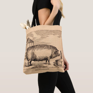 Schweinebruck aus dem 19. Jahrhundert "Züchter in  Tasche
