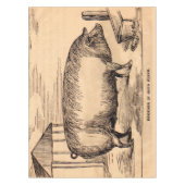 Schweinebruck aus dem 19. Jahrhundert "Züchter in  Tischdecke (Vorderseite)