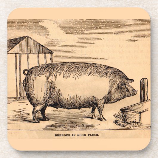 Schweinebruck aus dem 19. Jahrhundert "Züchter in  Untersetzer (Vorderseite)