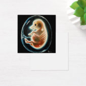 Schweineembryo (Schreibtisch)