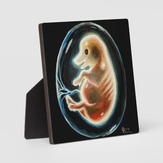 Schweineembryo Fotoplatte (Vorderseite)