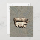 Schweinefarm Land Antike Illustration Kunst, Dicht Postkarte (Vorne/Hinten)