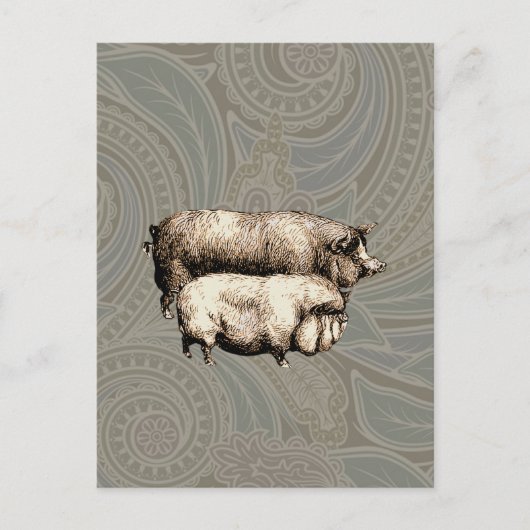 Schweinefarm Land Antike Illustration Kunst, Dicht Postkarte (Vorderseite)