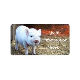 Schweinefarm Leben Rücksende-Adressetiketten Adressaufkleber