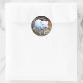 Schweinefarm Leben Runder Aufkleber (Tasche)