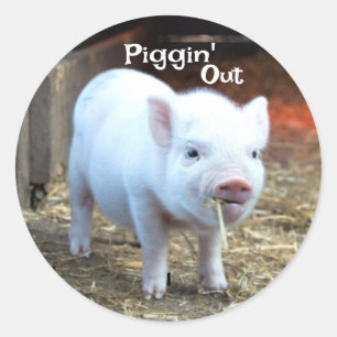 Schweinefarm Leben Runder Aufkleber