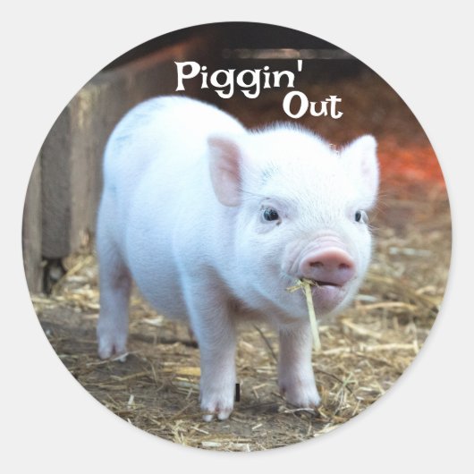 Schweinefarm Leben Runder Aufkleber (Vorderseite)