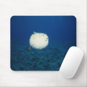 Schweinefisch Mousepad (Mit Mouse)