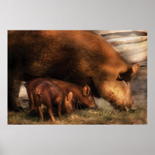 Schweinefleisch - Familienanleihen Poster