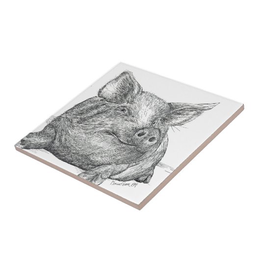 Schweinefleisch Fliese (Seite)