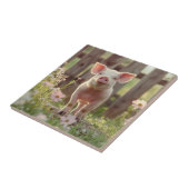 Schweinefleisch im Blumengarten Fliese (Seite)