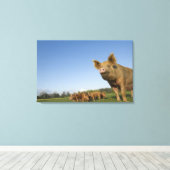 Schweinefleisch Leinwanddruck (Insitu (Holzboden))