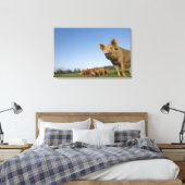 Schweinefleisch Leinwanddruck (Insitu (Schlafzimmer))