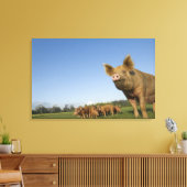 Schweinefleisch Leinwanddruck (Insitu (Wohnzimmer))