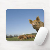 Schweinefleisch Mousepad (Mit Mouse)