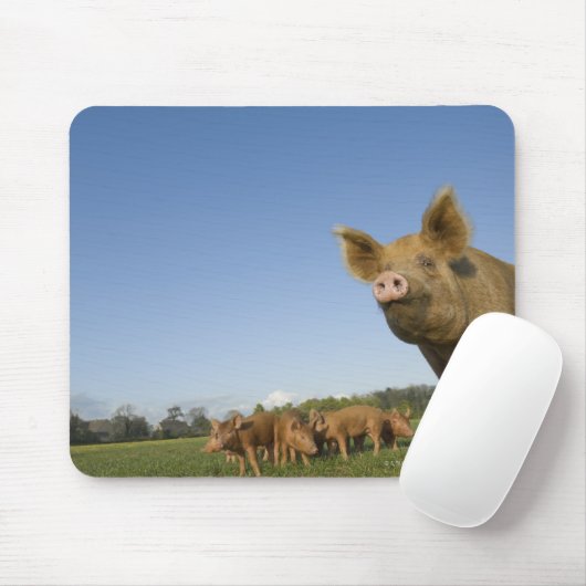 Schweinefleisch Mousepad (Mit Mouse)