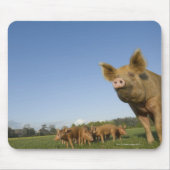 Schweinefleisch Mousepad (Vorne)