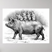 Schweinefleisch Poster (Vorne)