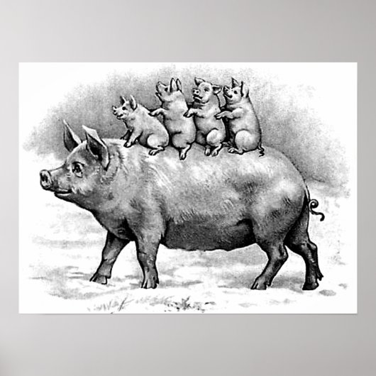 Schweinefleisch Poster (Vorne)