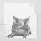 Schweinefleisch Postkarte (Vorne/Hinten)