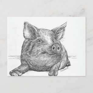 Schweinefleisch Postkarte