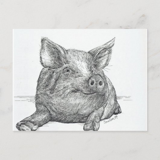 Schweinefleisch Postkarte (Vorderseite)