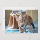 Schweinefleisch und Kuchen Einladung zum Geburtsta (Rückseite)