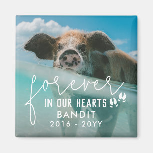 Schweinefutter für immer in unserem Herzen Schwein Magnet