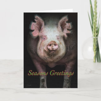 Schweinegrüße Feiertagskarte