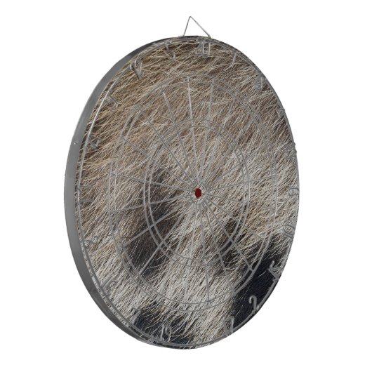 Schweinehaut Dartscheibe (Vorderseite Links)