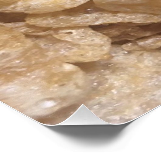 Schweinehäute Poster (Ecke)