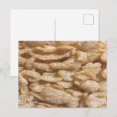 Schweinehäute Postkarte (Vorne/Hinten)