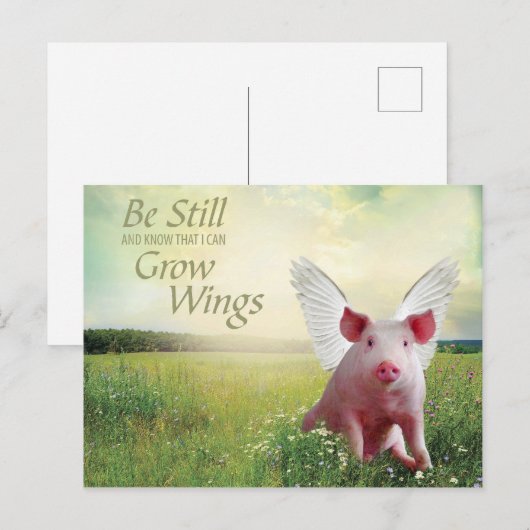 Schweinehecht Postkarte (Vorne/Hinten)