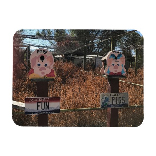 Schweinekanne, Schweine, Idaho Gewitzte Zeichen Magnet (Horizontal)