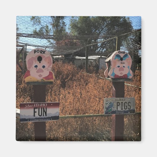 Schweinekanne, Schweine, Idaho Gewitzte Zeichen Magnet (Vorne)