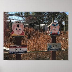 Schweinekanne, Schweine, Idaho Gewitzte Zeichen Poster