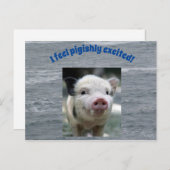 Schweinekarte Postkarte (Vorne/Hinten)