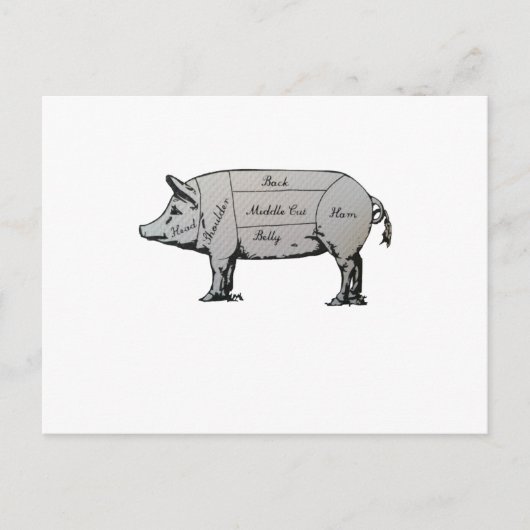 Schweinekarte Postkarte (Vorderseite)